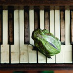 Clarence "Frogman" Henry, piano, Elsa Hahne, photo Clarence "Frogman" Henry, piano, Elsa Hahne, photo