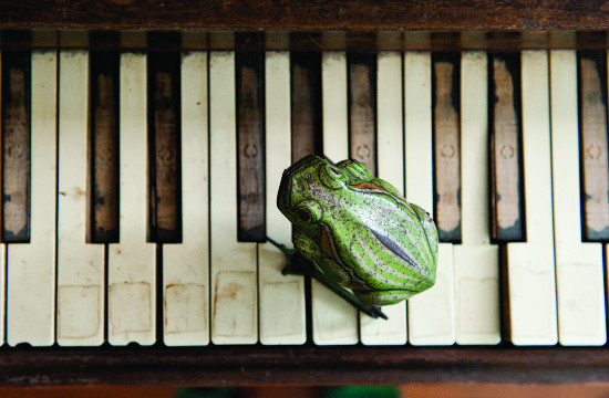 Clarence "Frogman" Henry, piano, Elsa Hahne, photo