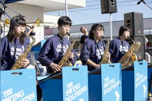 swing_dolphins_tips swing_dolphins_tips