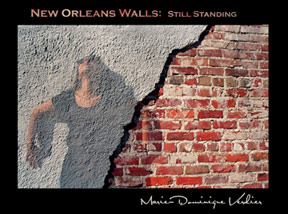 New Orleans Walls, Still Standing, Book Cover