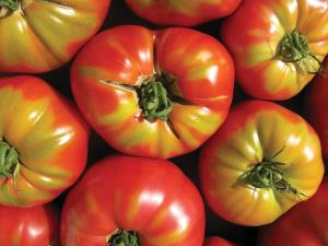 Tomatoes, OffBeat Magazine, June 2014