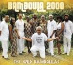 Bamboula 2000, The Wild Bamboulas, album cover, OffBeat Magazine, July 2014