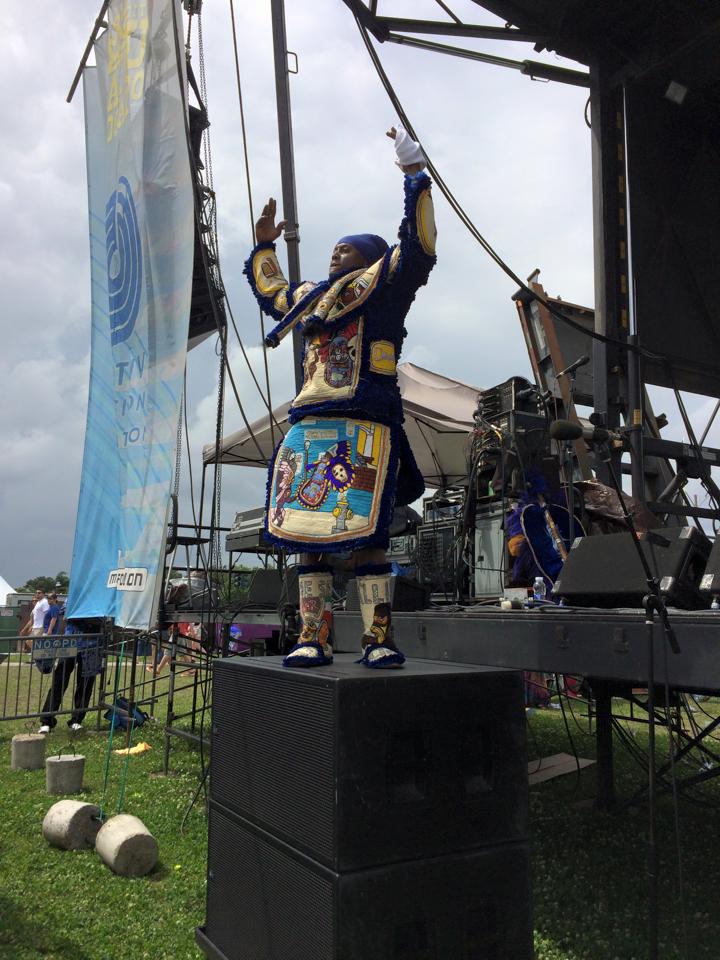 The Wild Magnolias, photo by Laura DeFazio