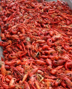 Crawfish Fest's perennial headliner. Photo by Bob Adamek.