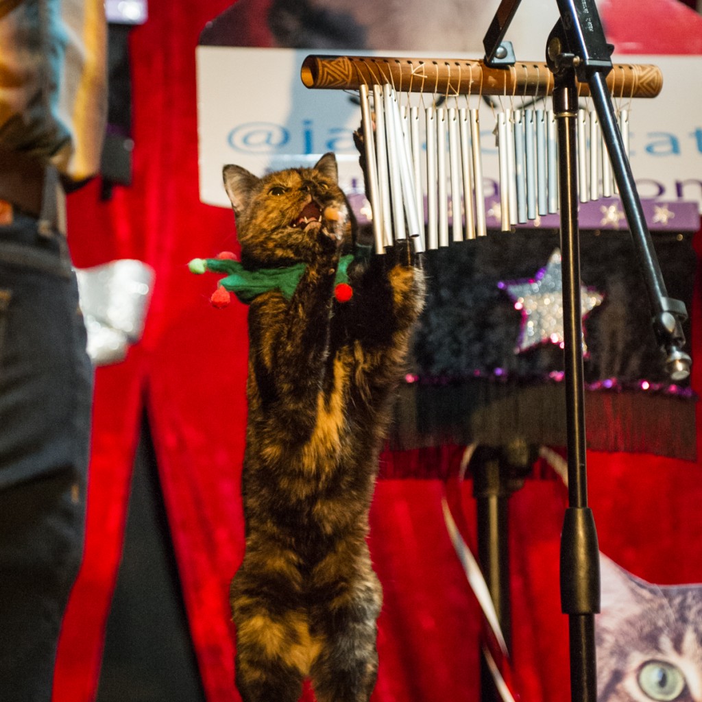 Photo by Elsa Hahne.