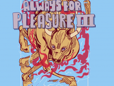 Always For Pleasure Fest