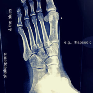 Album cover of shakespeare & the Blues' e.g. Rhapsodic