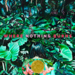 Where Nothing Burns - Where Nothing Burns
