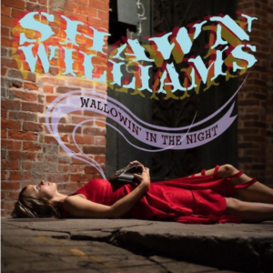 Shawn Williams Wallowin' inn the Night