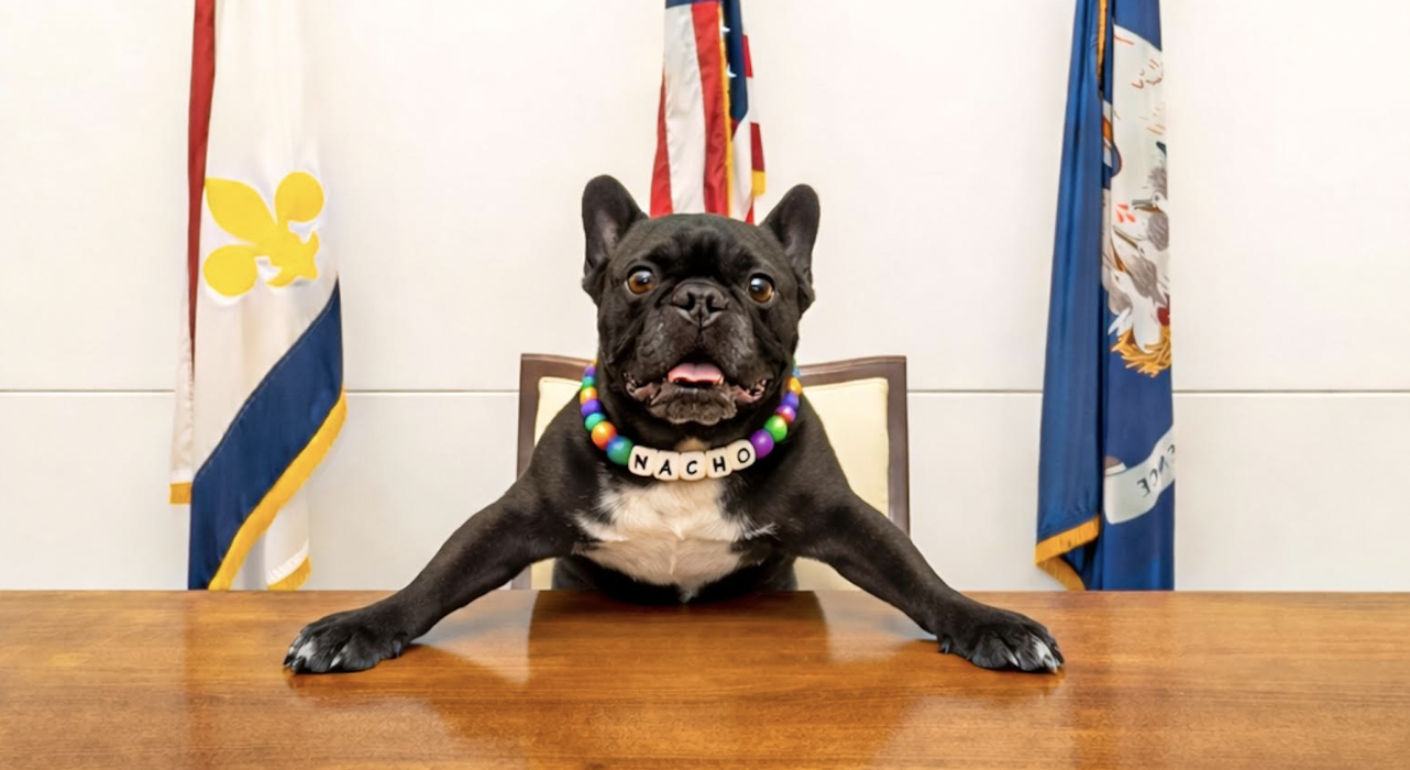 Mystic Krewe of Barkus Rolls This Weekend